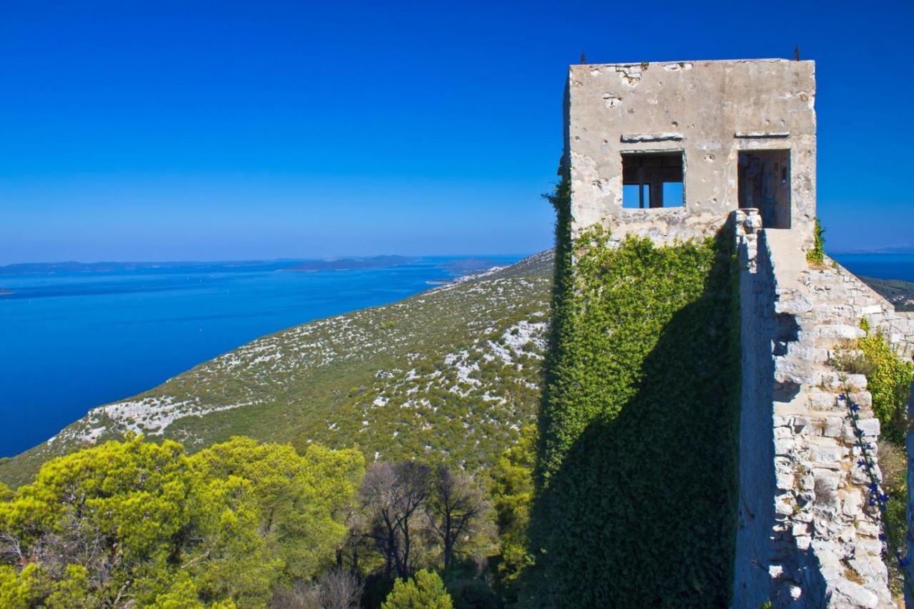 Studio Apartment In Preko With Sea View, Terrace, Air Conditioning, Wi-Fi Dış mekan fotoğraf